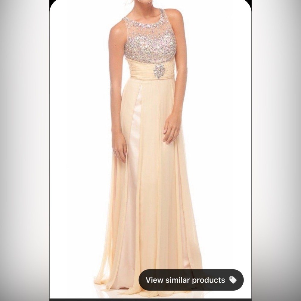 Nina Canacci Nude Beaded Sheer Gown